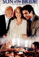 The Son of the Bride poster image