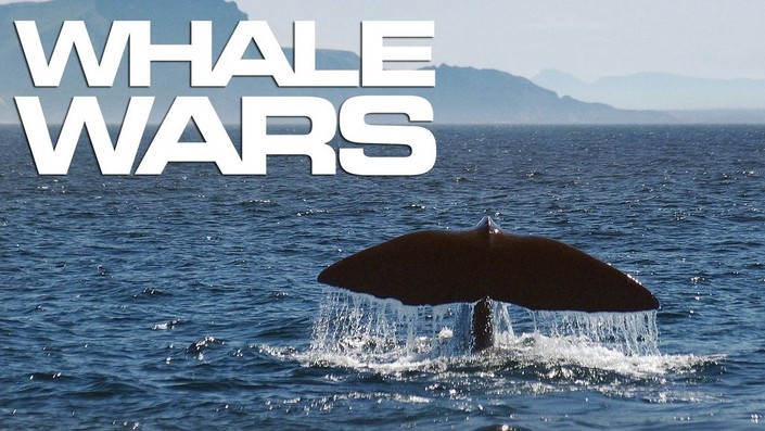 Whale Wars: Season 1 | Rotten Tomatoes