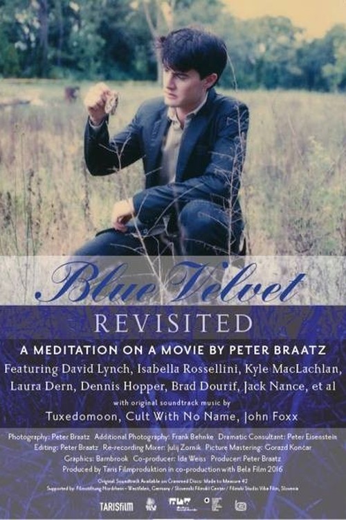 Blue Velvet Revisited poster