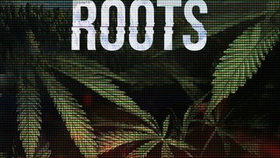 Tangled Roots：美國大麻產業開枝散葉的黃金傳奇