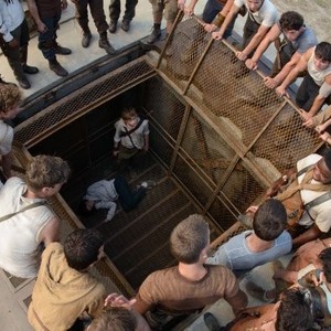 The Maze Runner - Rotten Tomatoes