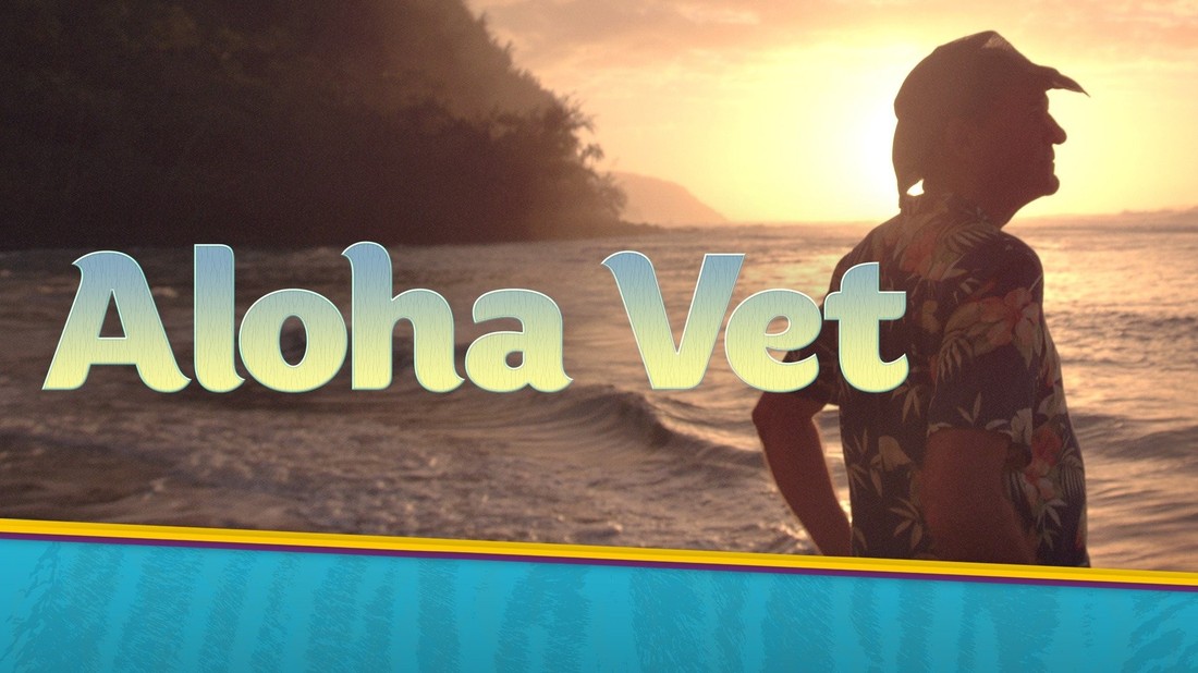 Aloha best sale vet clinic