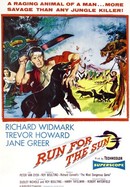 Run for the Sun poster image