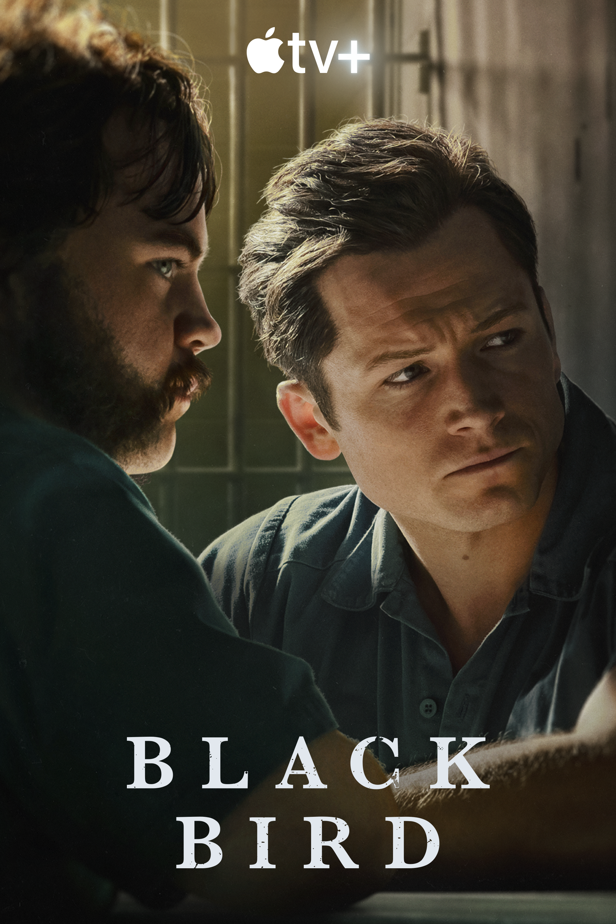 Black Bird - Rotten Tomatoes