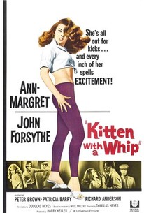 Poster for Kitten With a Whip