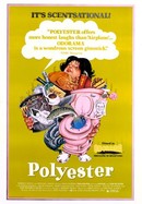 Polyester poster image