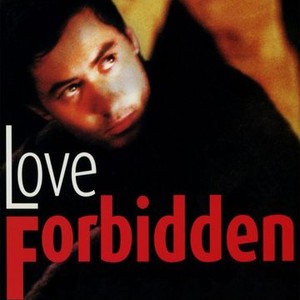 Love Forbidden photo 7