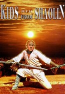 Kids From Shaolin poster image