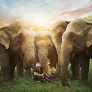 Love & Bananas: An Elephant Story photo 17