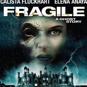Fragile (2005) photo 14