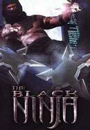 The Black Ninja poster image