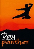 Day of the Panther poster image