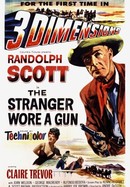 The Stranger Wore a Gun poster image