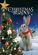 The Christmas Bunny poster image