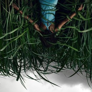 In The Tall Grass Review: A Mess Of A Horror Film