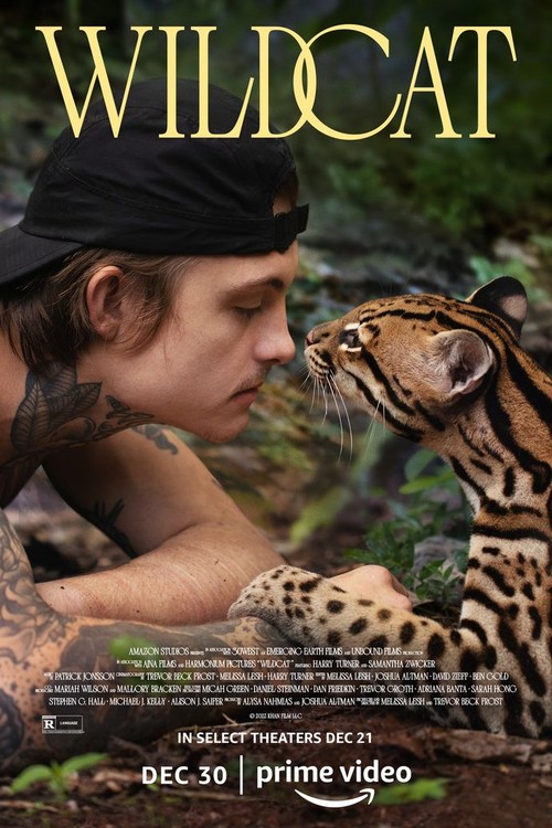 Wildcat poster