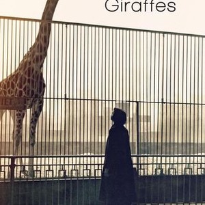The Woman Who Loves Giraffes photo 16