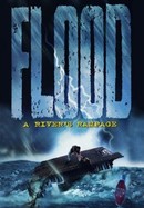 Flood: A River's Rampage poster image