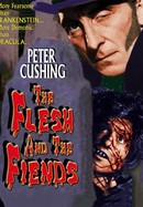 The Flesh and the Fiends poster image