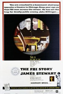 Poster for The FBI Story
