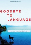 Goodbye to Language poster image