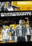 A Guide to Recognizing Your Saints poster image