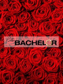 The bachelor season deals 5 episode 1