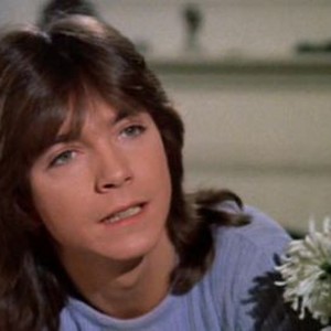 The Partridge Family: Season 2, Episode 17 - Rotten Tomatoes