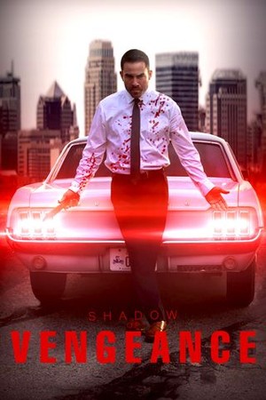 Shadow of Vengeance poster