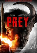 Prey poster image