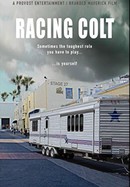 Racing Colt poster image
