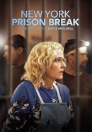 New York Prison Break: The Seduction of Joyce Mitchell poster image