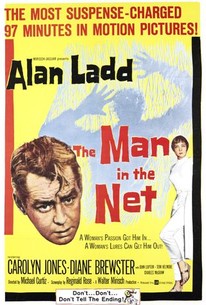 The Man in the Net - Rotten Tomatoes