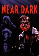 Near Dark poster image