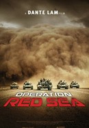 Operation Red Sea poster image