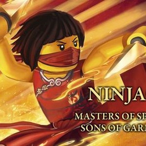 Ninjago: Masters of Spinjitzu: Sons of Garmadon - Rotten Tomatoes