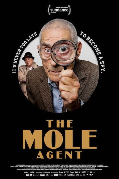 The Mole Agent poster