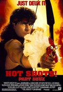 Hot Shots! Part Deux poster image