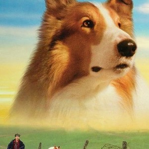  Lassie : Helen Slater, Tom Guiry, Jon Tenney, Brittany