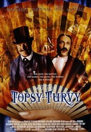 Topsy-Turvy poster image