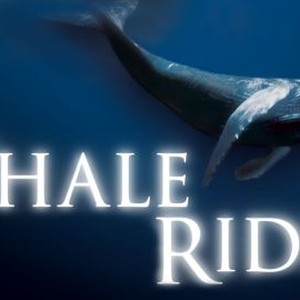Whale Rider photo 13
