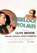 Sherlock Holmes poster image