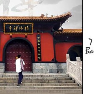 7 Days in Bailin Temple photo 15