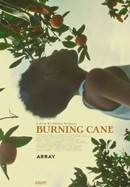 Burning Cane poster image