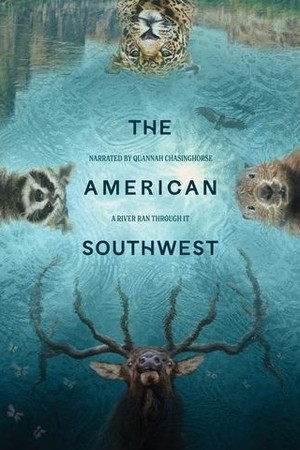The American Southwest poster