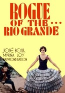 Rogue of the Rio Grande poster image