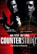 Counterstrike poster image