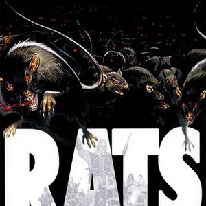 Rats photo 11