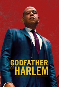 Godfather of Harlem: Season 1 poster image