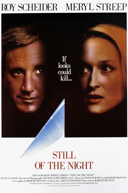 Still of the Night poster